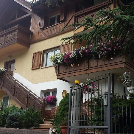 B&B Al Cedro Sporminore Exterior photo